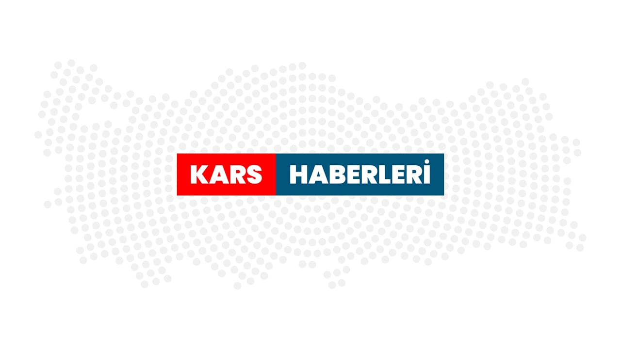 Kars'taki kaya resimleri binlerce yıllık yaşamın izlerini taşıyor