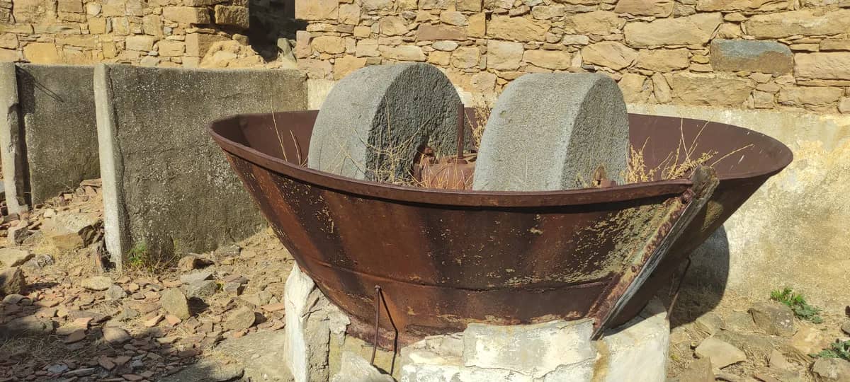 Gökçeada Zeytinyağı