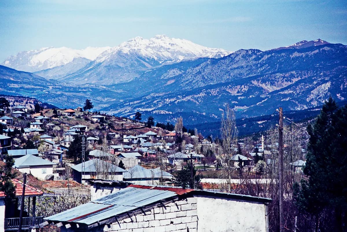 Akçatekir Yaylası (Tekir)