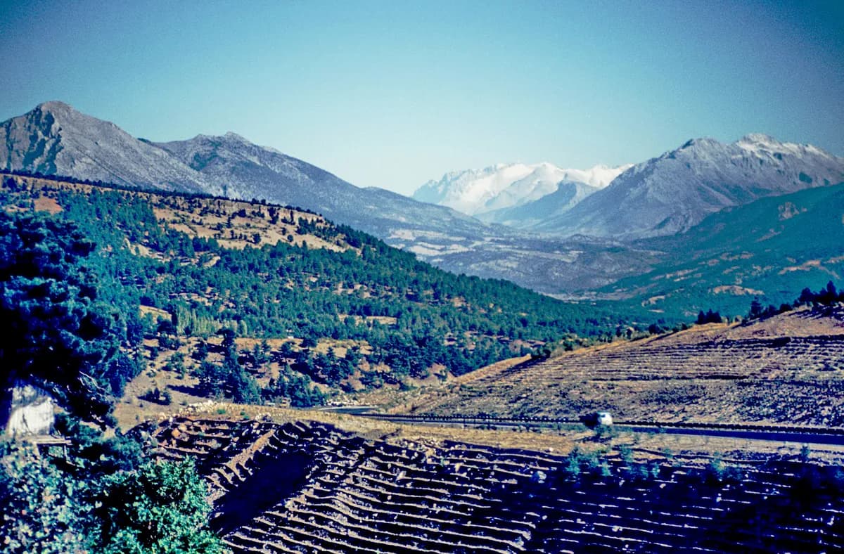 Akdağ Yaylası ve Çam Ormanları