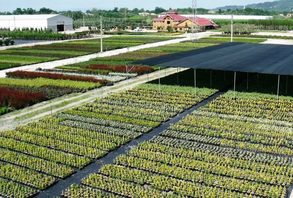 Arifiye Botanik Parkı ve Fidanlık Mesire Alanı