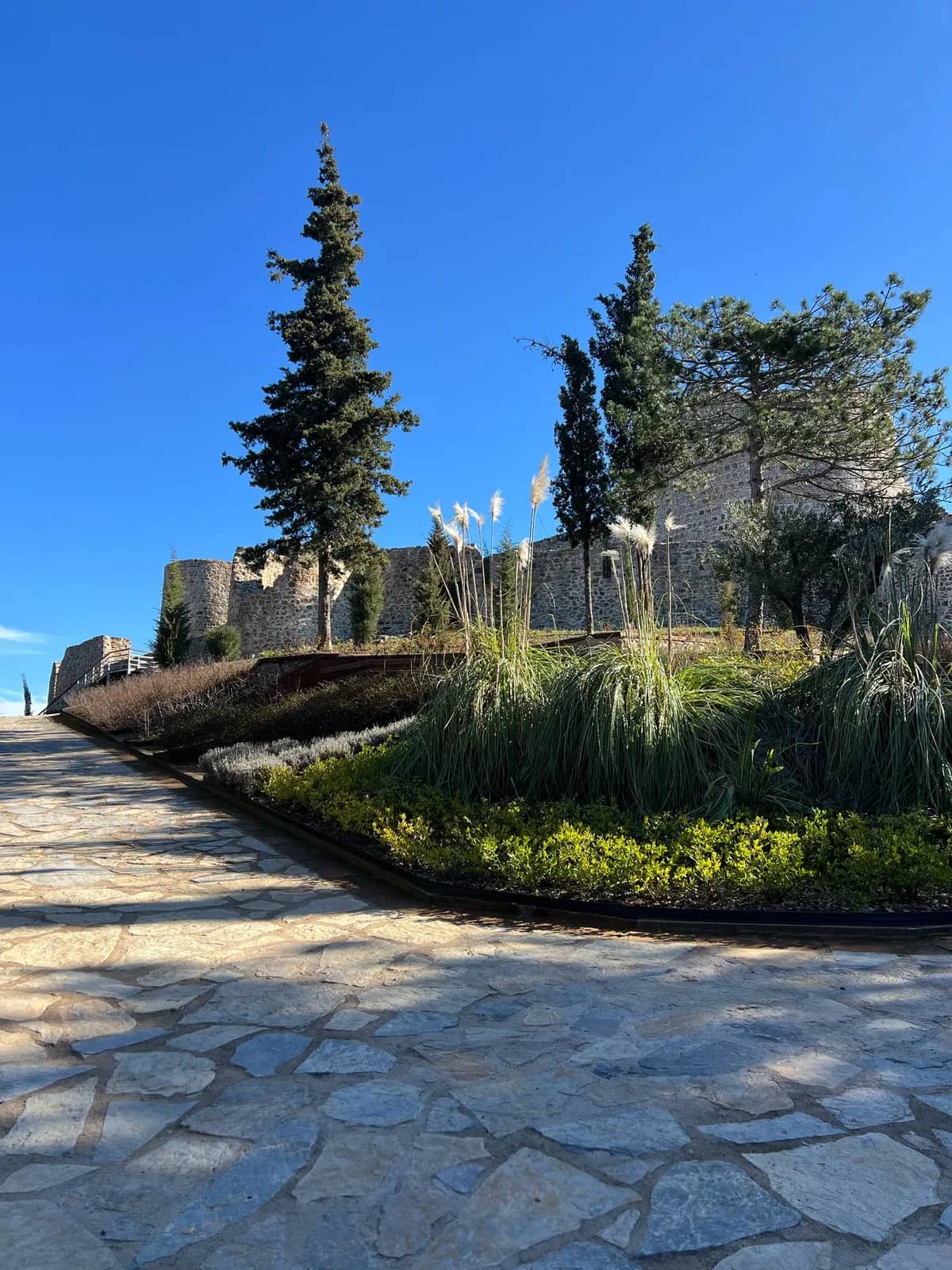 Aydos Ormanı ve Zirve Tabiat Parkuru (Kartal)