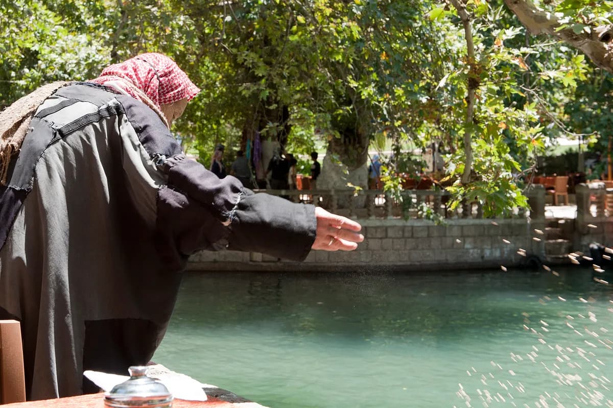 Aynzeliha Gölü ve Parkı