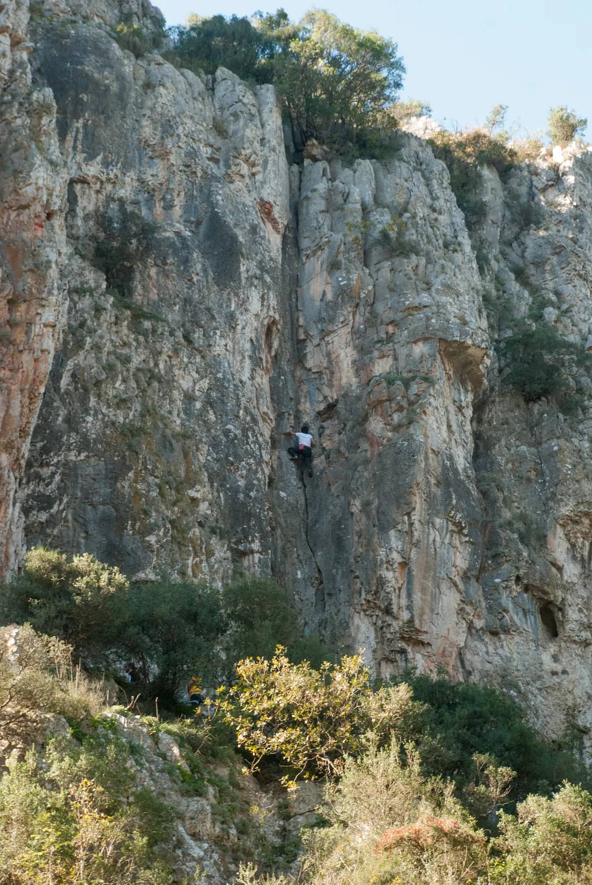 Aytepe Mesire Alanı ve Tabiat Parkuru (1000 m)