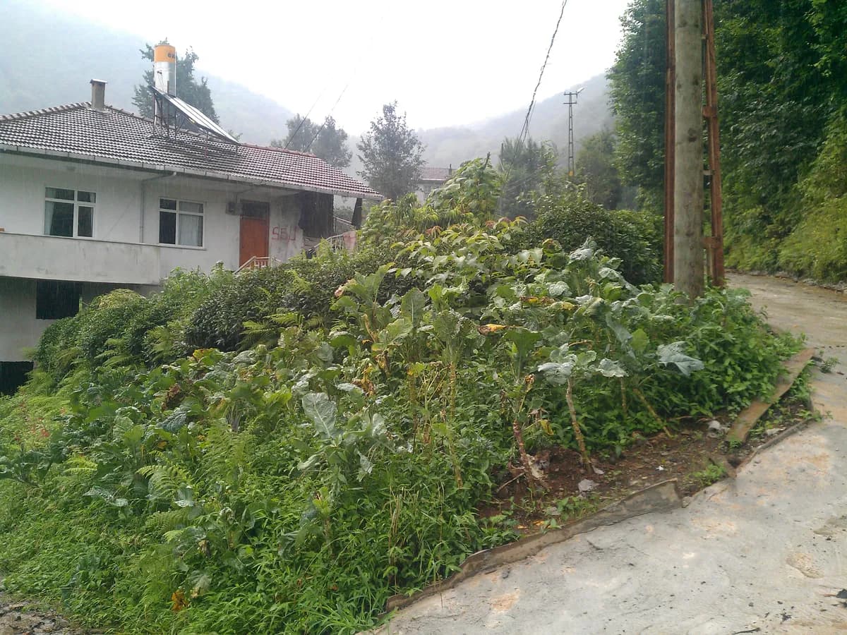 Çakırlı Köyü ve İznik Gölü Kıyı Şeridi