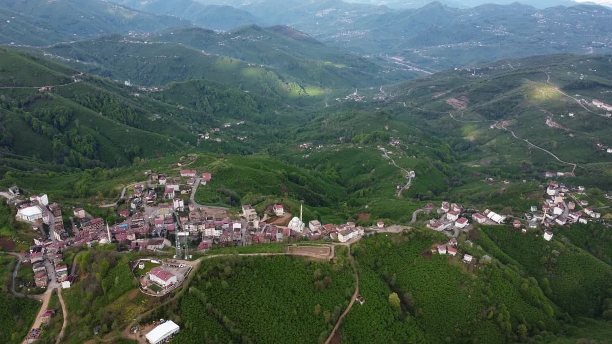 Çatalpınar Köyü Tarihi Pınarı ve Mesiresi
