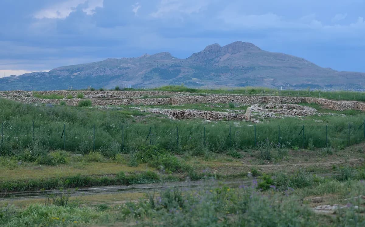 Çayönü Höyüğü