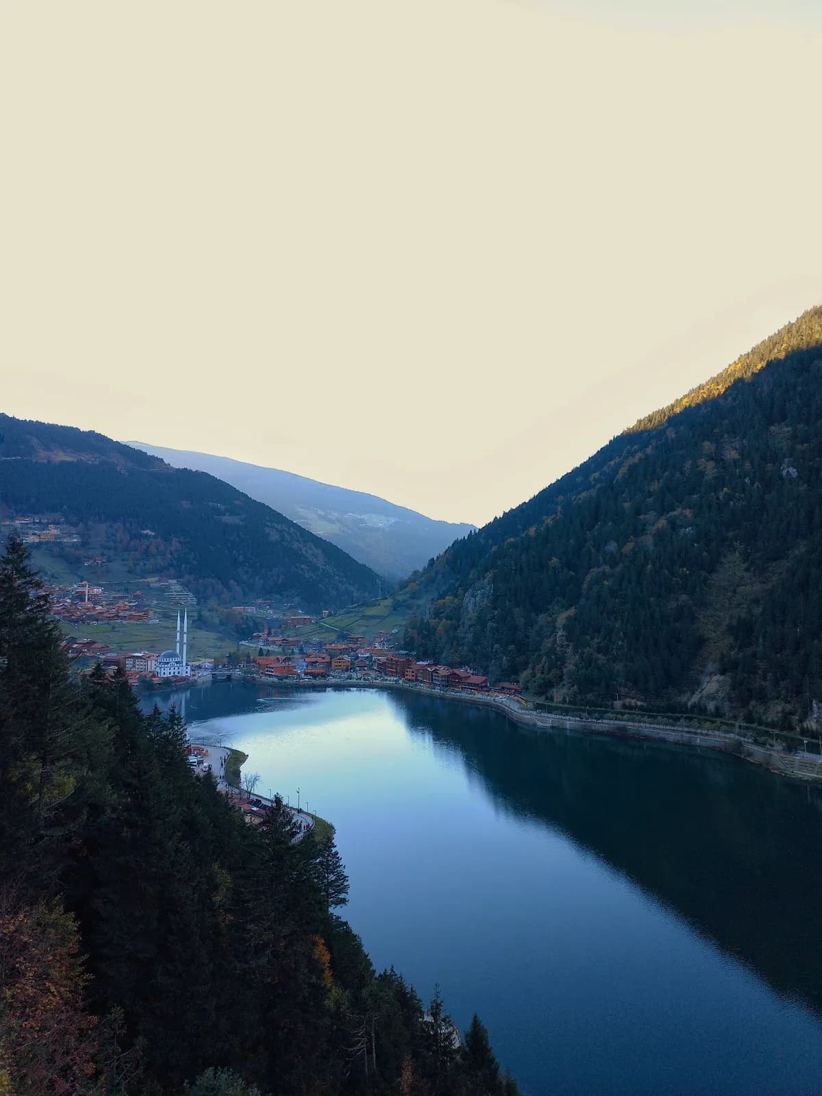 Çekerek Lavanta Adası ve Seyir Alanı
