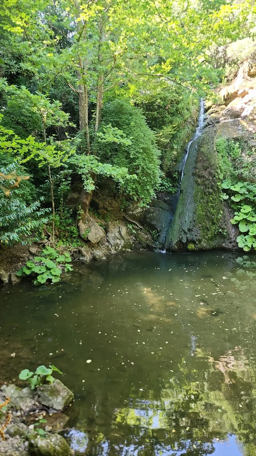 Çenedağ Şelalesi ve Doğa Kanyonu (Derince)