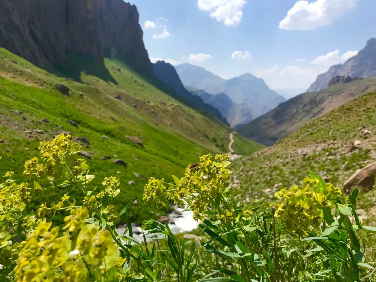 Cennet Vadisi ve Şelalesi