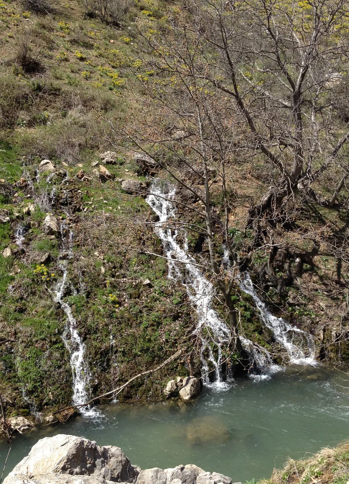 Çolaklı Köyü Doğa Vadisi ve Pınarları