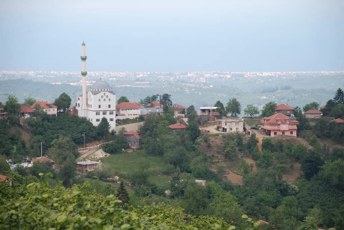 Çura Sahili ve Karadeniz Koyu