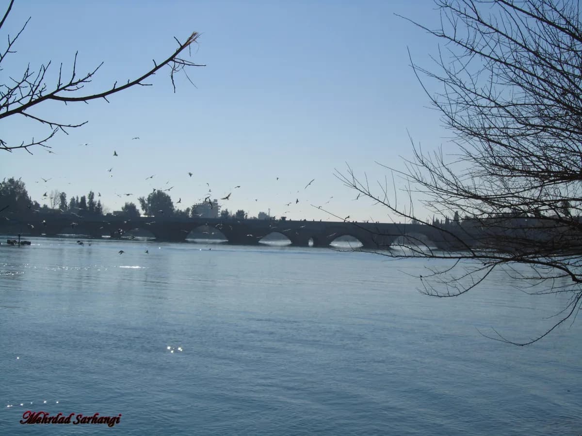 Dargeçit Tarihi Taş Köprüsü
