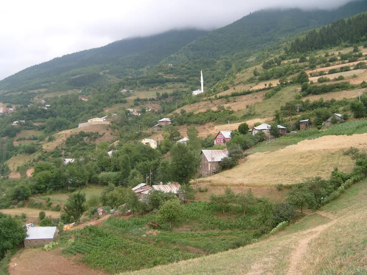 Dereağzı Tabiat Koyu ve Plajı