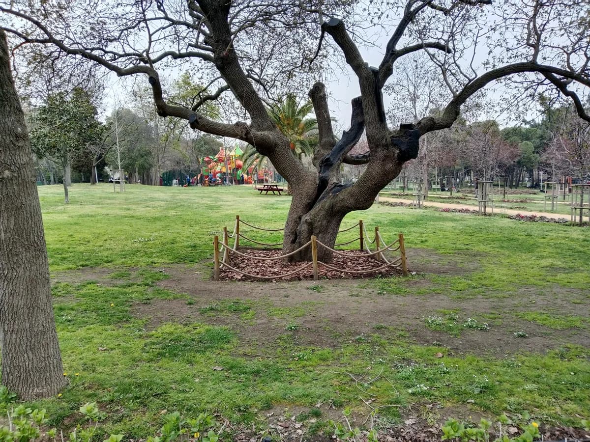 Florya Atatürk Ormanı ve Doğa Parkuru