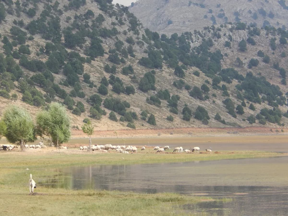 Girdev Gölü ve Yaylası Tabiat Alanı