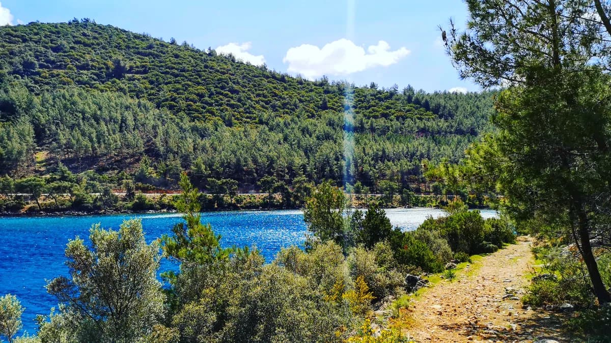 Göltürkbükü Koyu ve Sahil Kordonu