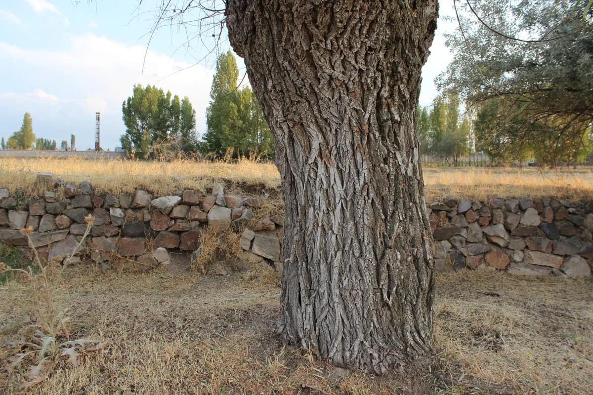Gömeç Su Altı Heykel Müzesi ve Dalış Koyu