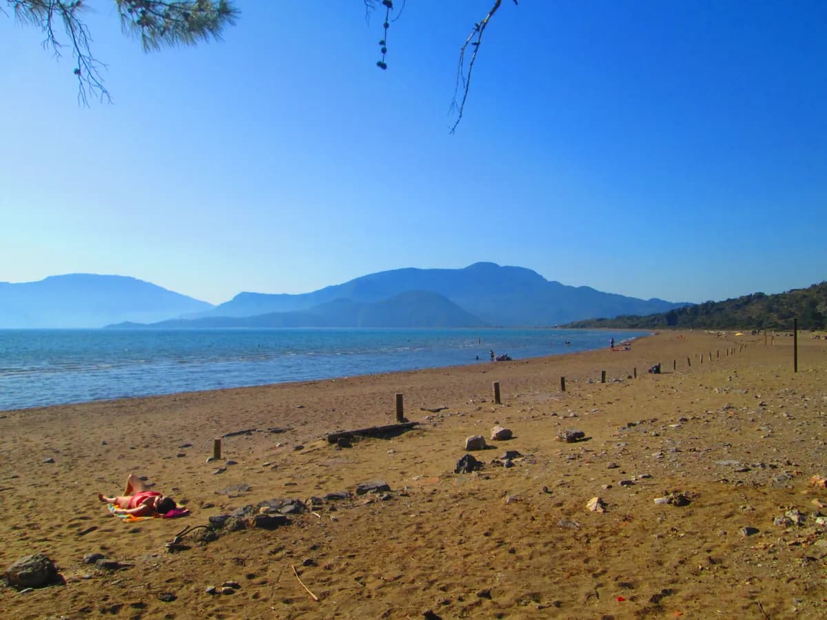 İztuzu Plajı ve Deniz Kaplumbağaları (DEKAMER) Koruma Alanı