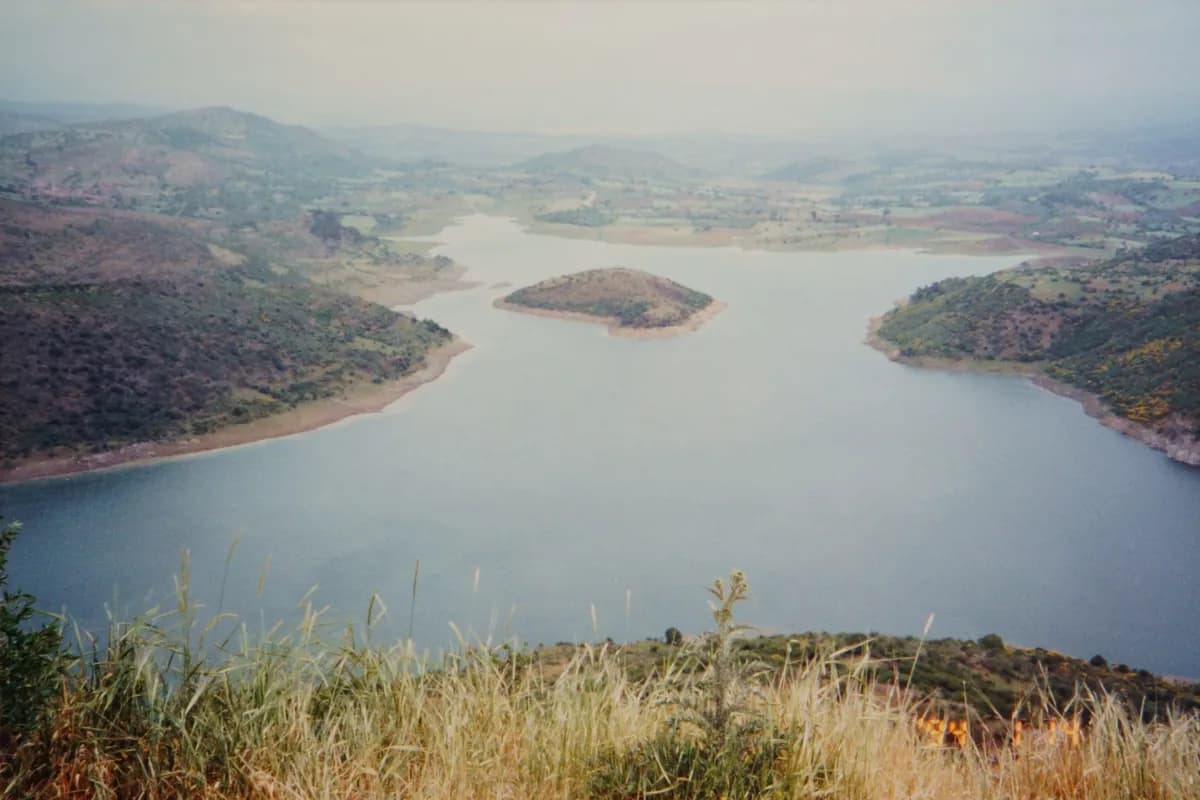 Kestel Barajı ve Çamlık Doğa Mesire Alanı