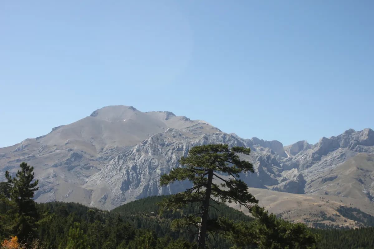 Kızıldağ Milli Parkı ve Mavi Sedir Ormanları (Astım Şifa Cenneti - 1.840 m)