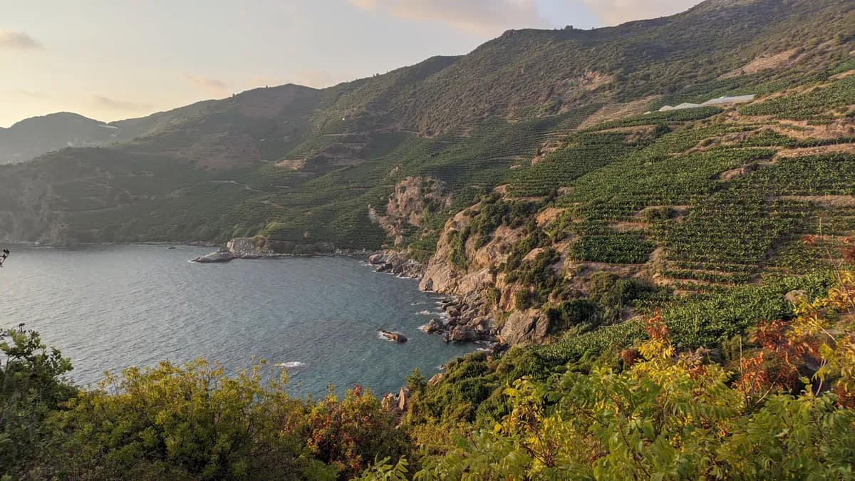 Kral Koyu Delikdeniz (Doğal Havuz)