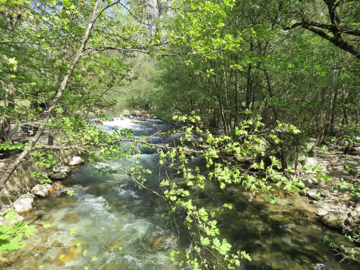 Murat Nehri Parkı ve Kanyon Seyir Alanı