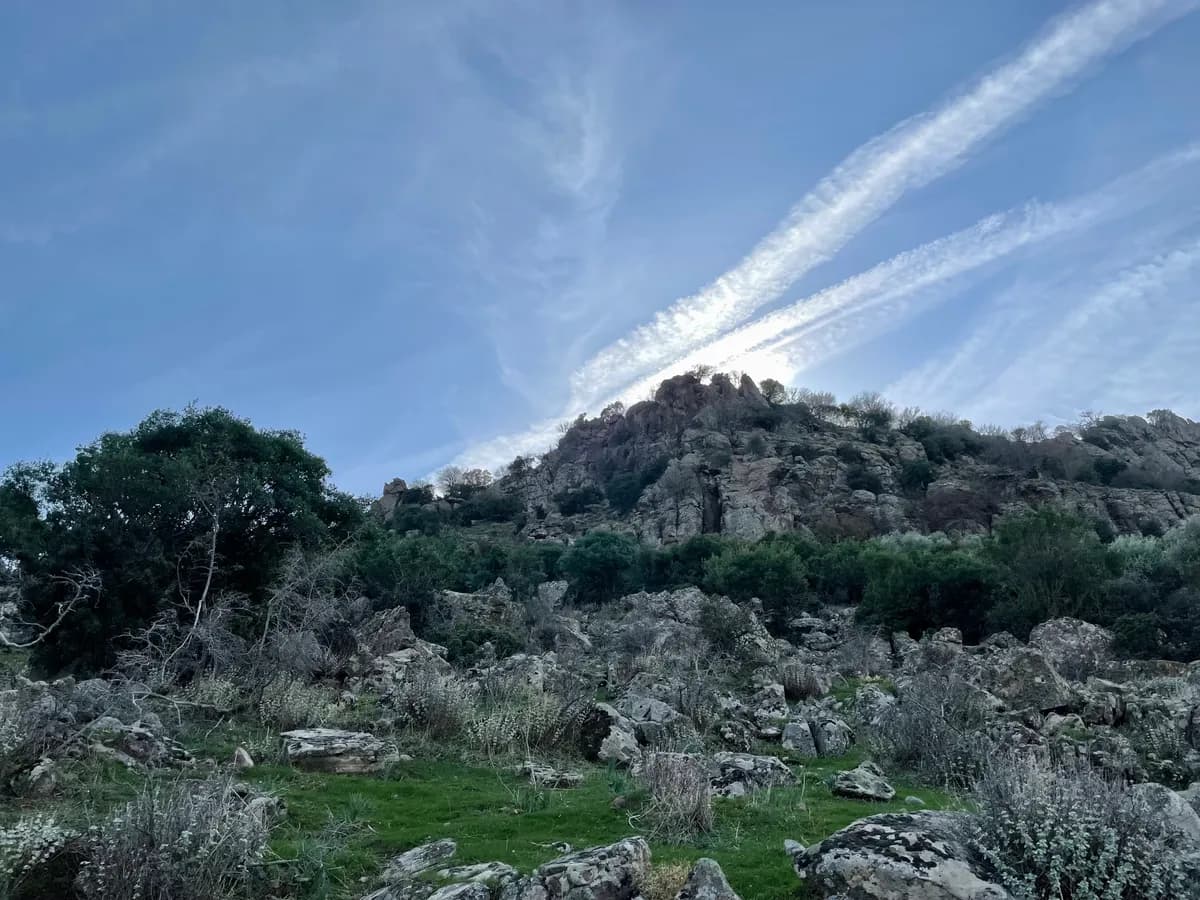 Pitane Antik Kenti Kalıntıları ve Nekropolü (Çandarlı - MÖ 1200)