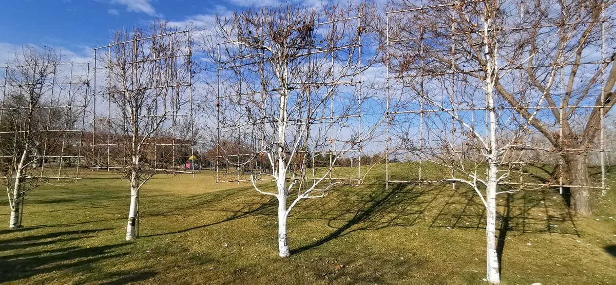 Sarıcakaya Kent Meydanı ve Parkı