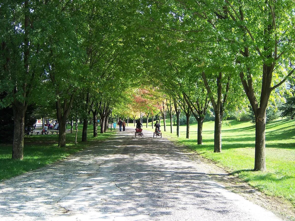 Soğanlı Botanik Parkı & Hayvanat Bahçesi (400.000 m² Doğa Vahası)