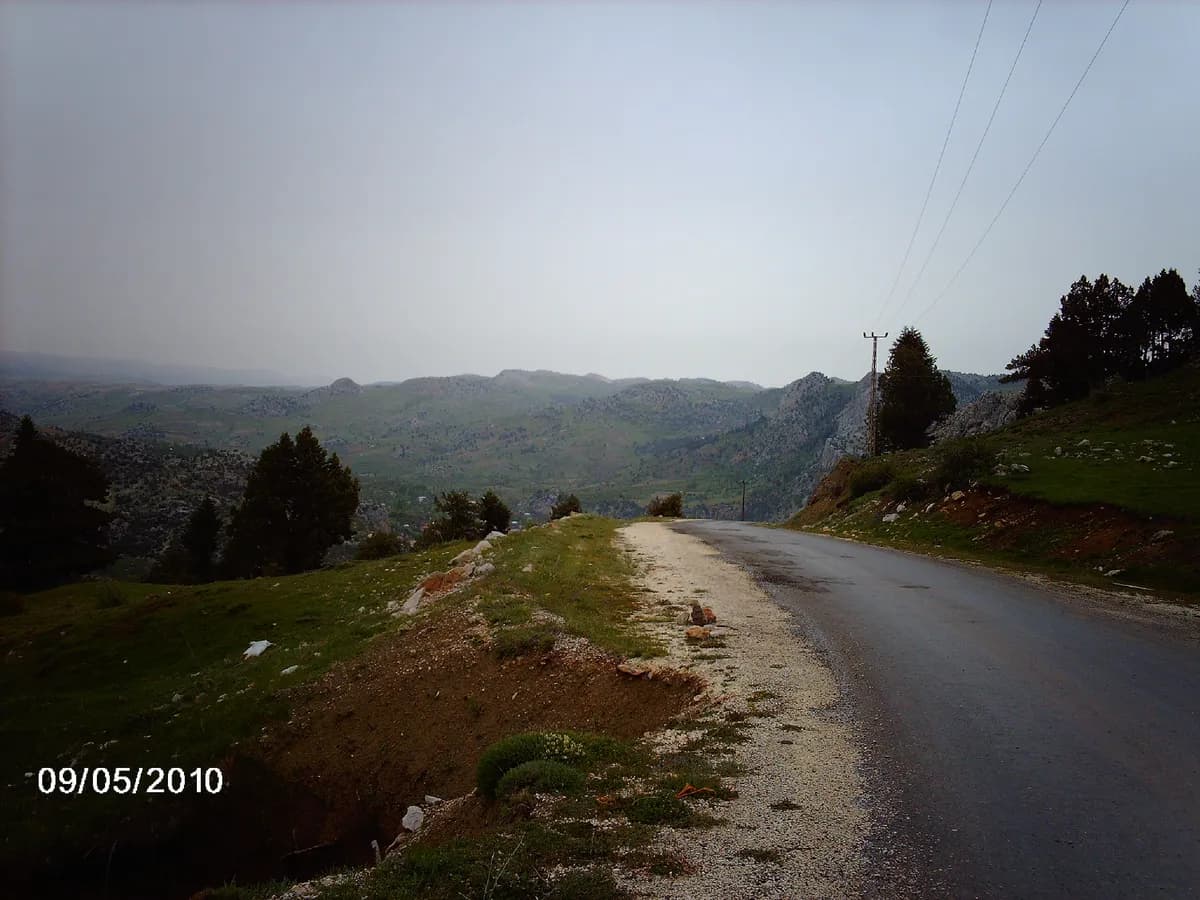 Sorgun Yaylası ve Çam Ormanları