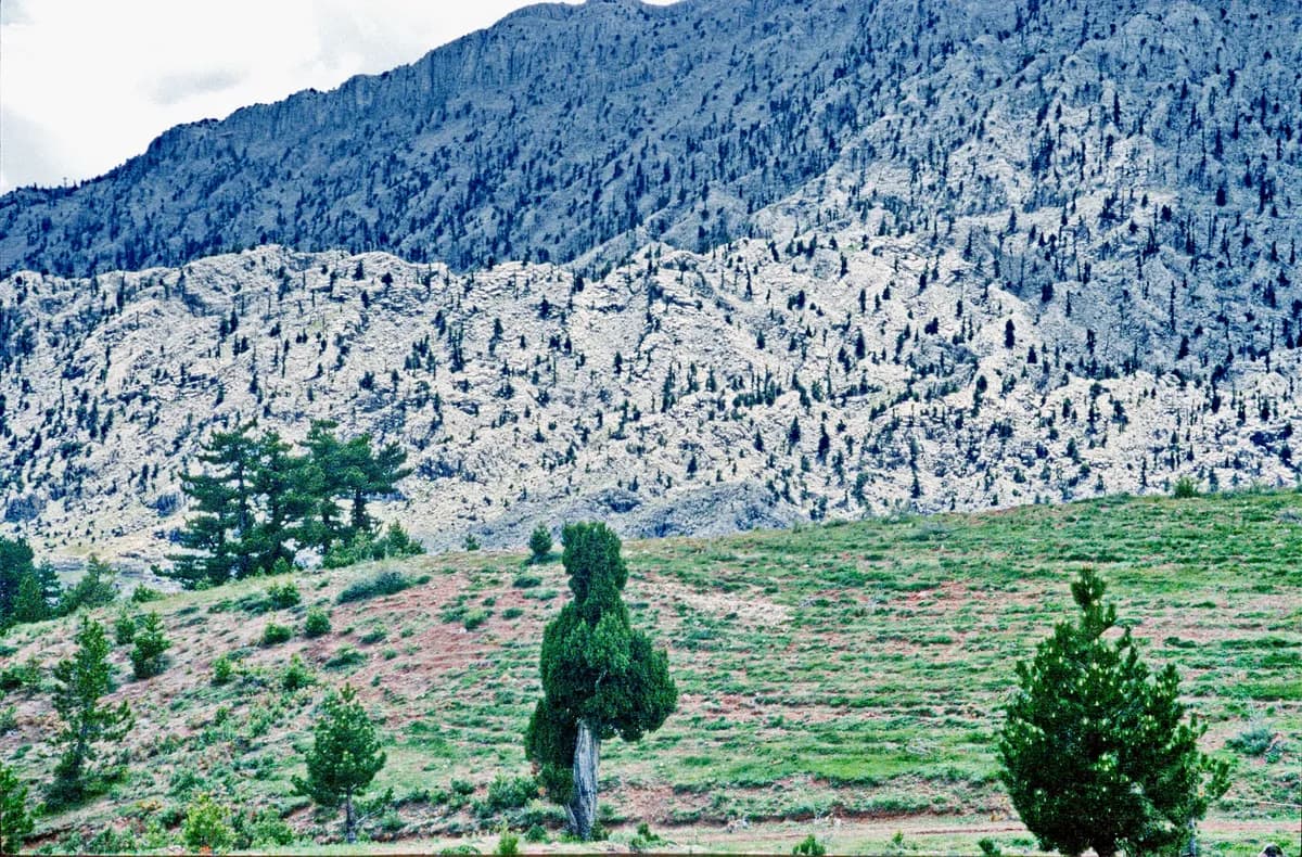Suğla Yaylası Doğa ve Motor Sporları Merkezi (1100 m)