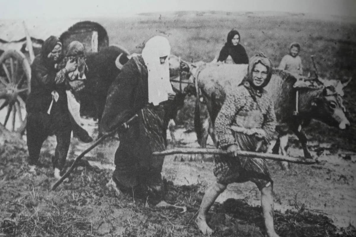 Tarihi Bozkurt Muhacir Evleri & Parkı
