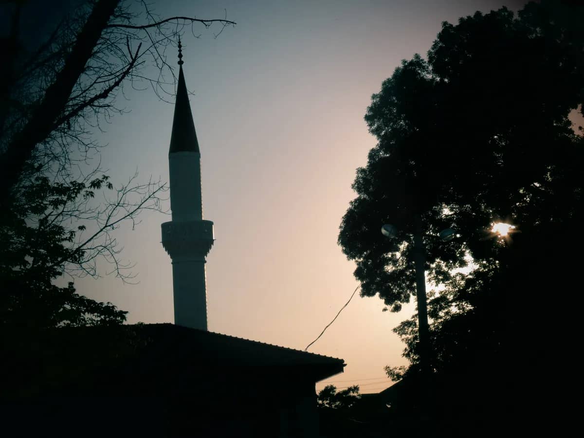 Historical Kemaliye Orta Mosque