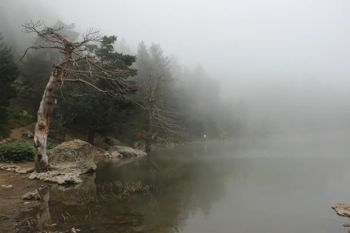Tarihi Zigana Geçidi ve Zirve Şehitliği (2.050 m)