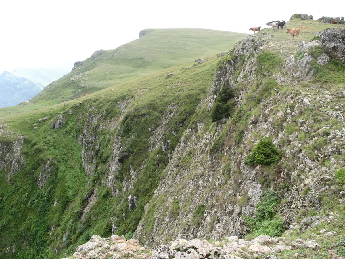 Yurt Yaylası ve Tabiat Parkuru